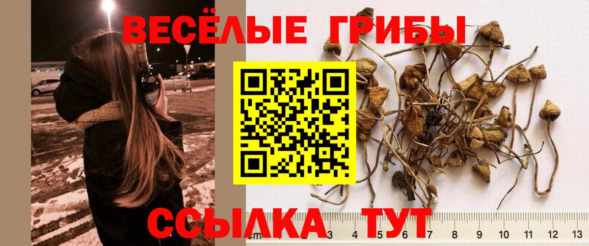 Галлюциногенные грибы MAGIC MUSHROOMS Нерюнгри