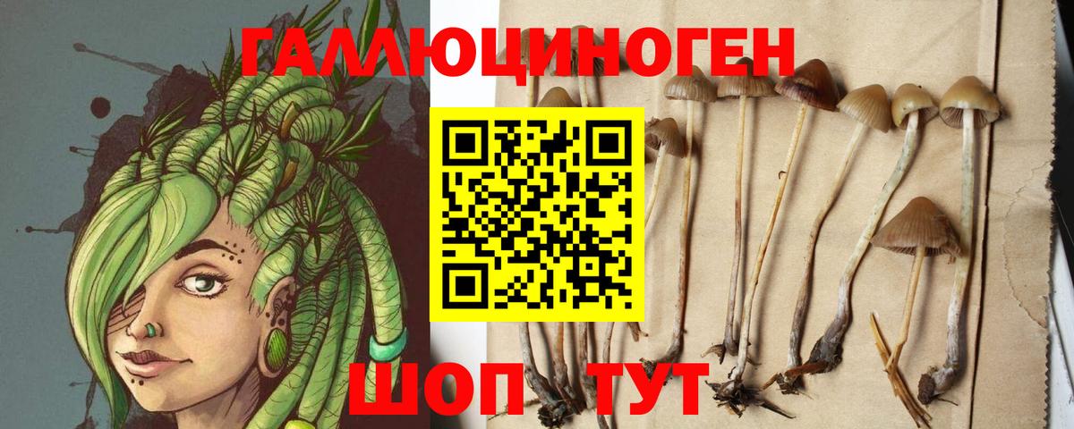 Нерюнгри  Псилоцибиновые грибы мухоморы  Вход с VPN  Галлюциногенные грибы MAGIC MUSHROOMS 